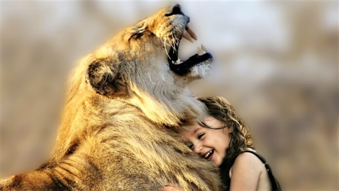 Bonding with Your Pet Lion 1