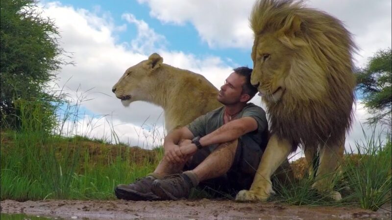 Bonding with Your Pet Lion 3